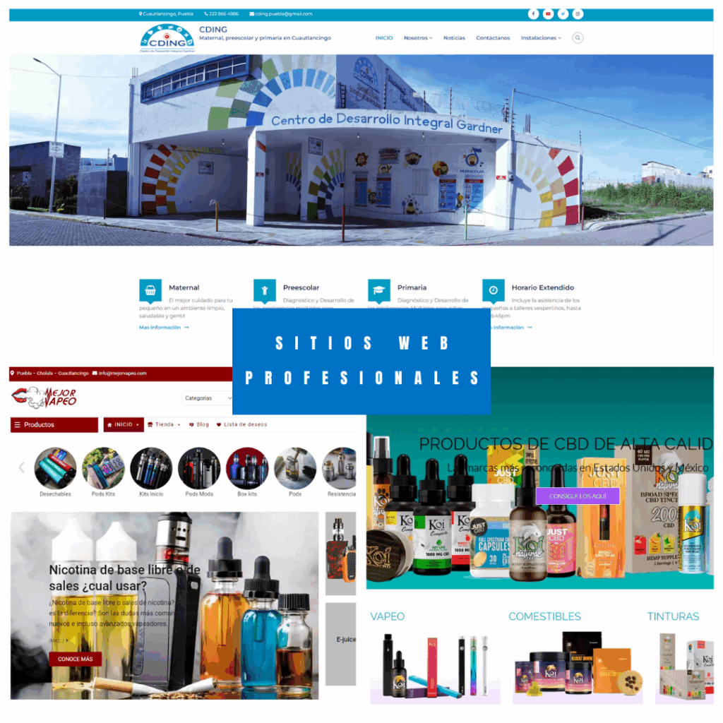 Paginas Web Profesionales